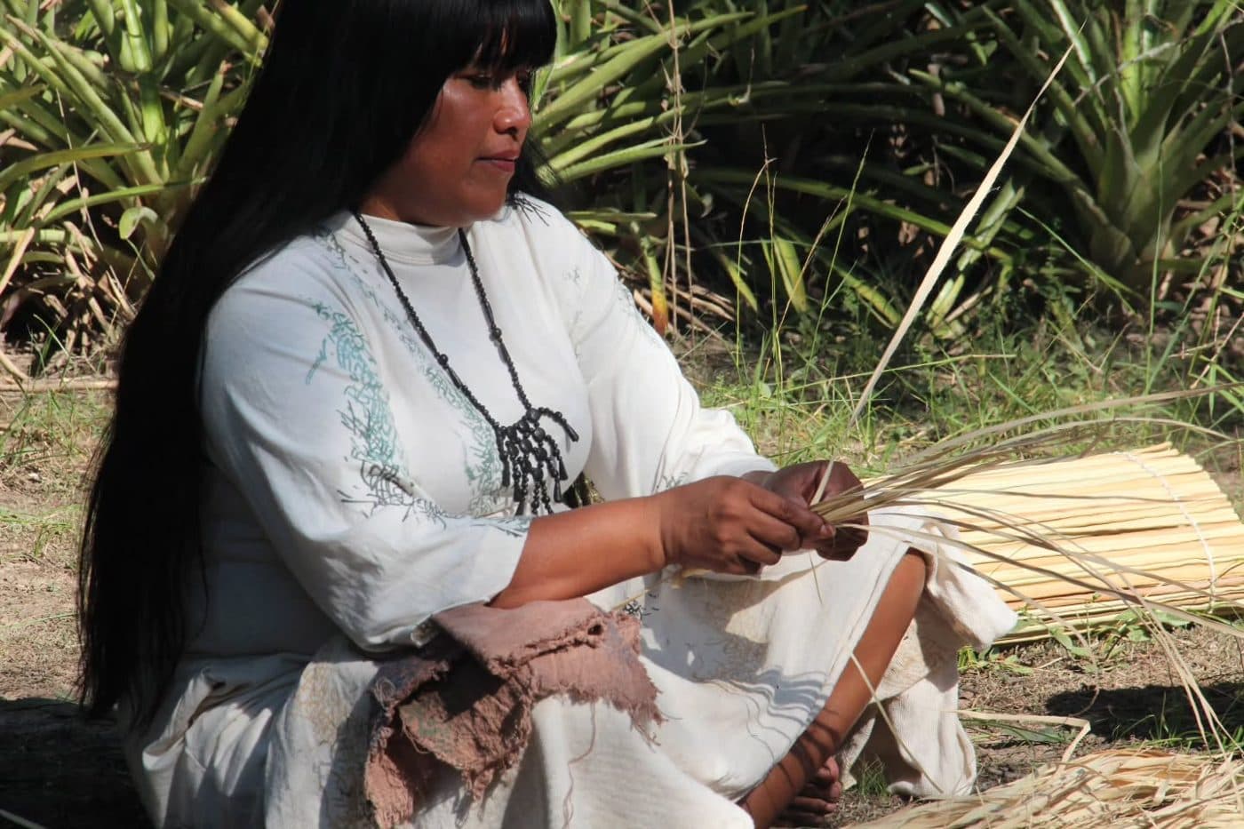 Proceso artesanal del algodón chaqueño